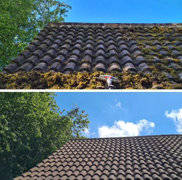 nettoyage démoussage de toiture à la tour du crieu