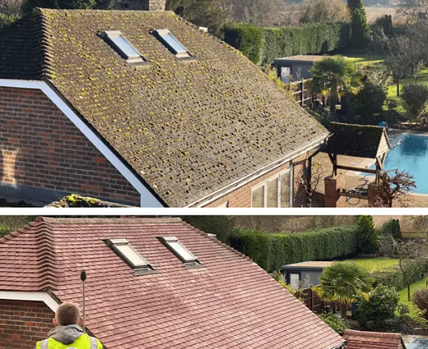 devis démoussage toitures