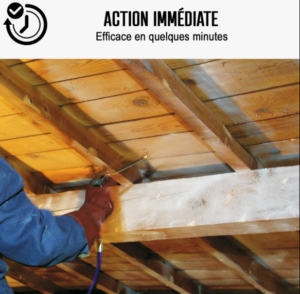 Traitement de charpente devis